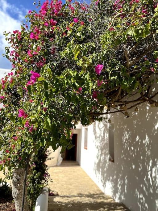 4 Palms Only 5 Minutes From Ibiza Villa