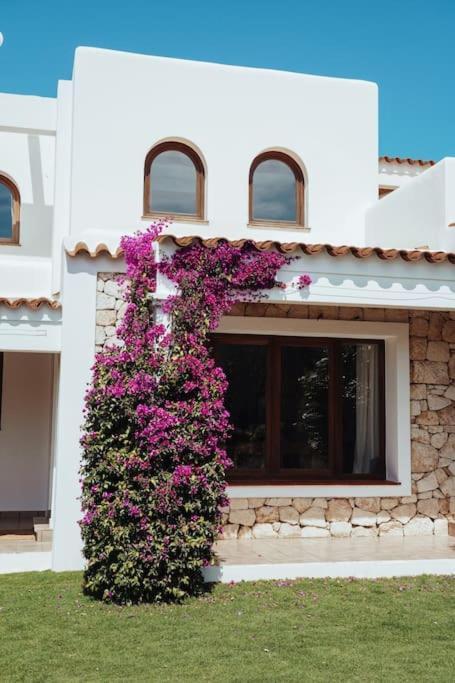 4 Palms Only 5 Minutes From Ibiza Villa *