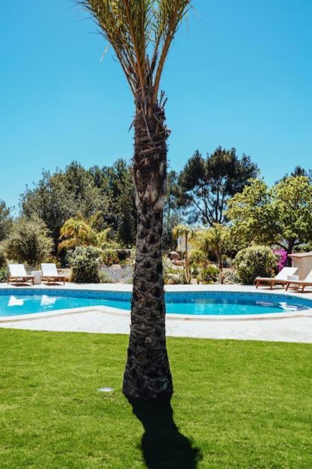 Villa 4 Palms Only 5 Minutes From Ibiza *