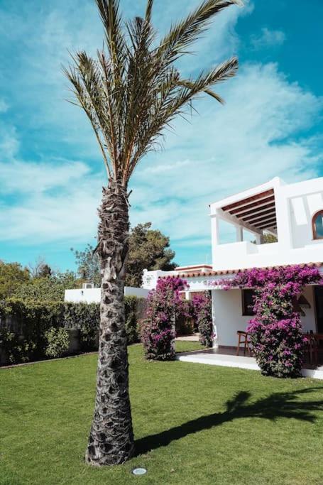 4 Palms Only 5 Minutes From Ibiza Villa Montecristo