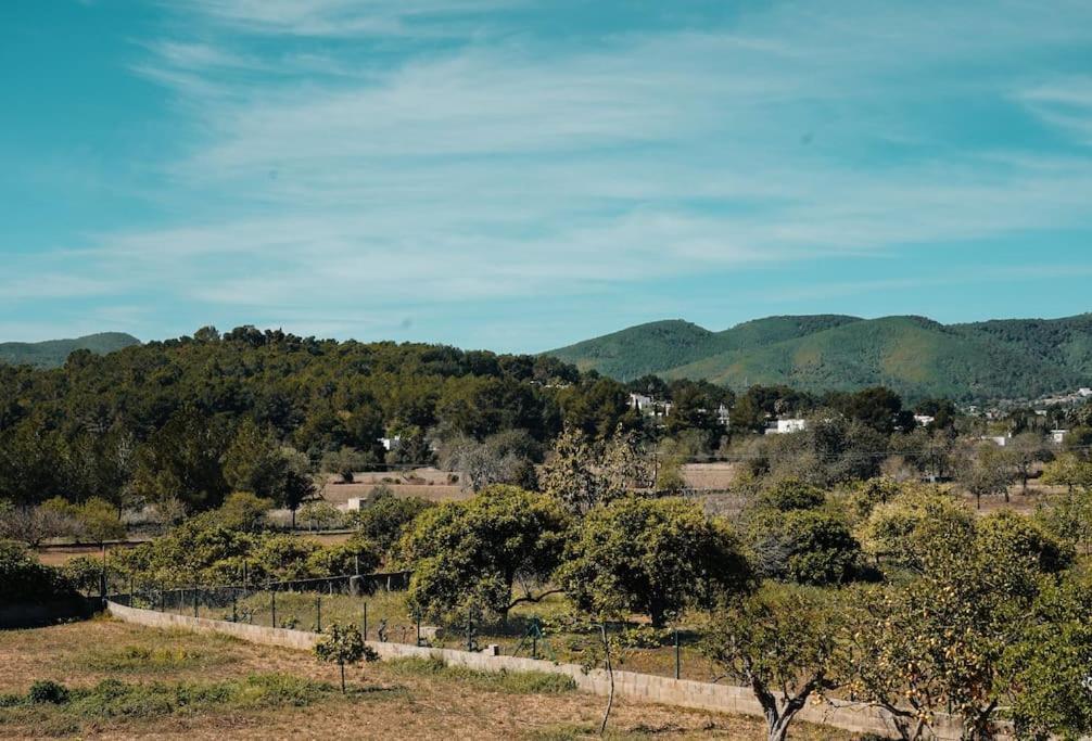 Villa 4 Palms Only 5 Minutes From Ibiza *